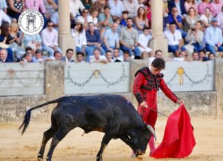 El rondeño Ignacio Candelas, seleccionado para el Circuito de Novilladas de Andalucía