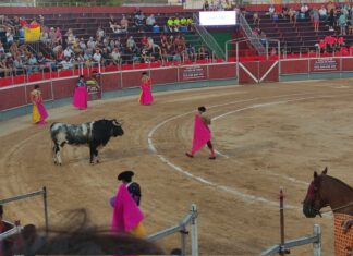 Lavado es ovacionado con una imponente novillada de Barcial en Calasparra