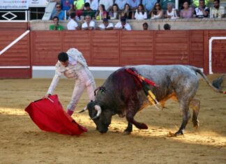Lavado en el Desafío Ganadero de Villaseca de la Sagra