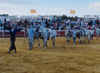 Tres orejas para Ferrer Martín en El Alquian (Almería)