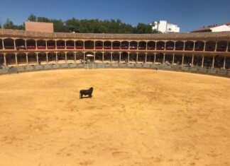 Orden de lidia y cuadrillas para la Corrida Goyesca de Ronda