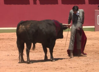 Ovación para Fortes, que queda inédito al inutilizarse su novillo en el festival de Olías del Rey