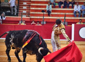 Santana Claros es ovacionado en Zaragoza con una novillada de pobre juego