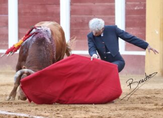 Galería del Festival de Fuengirola (I) por David Bracho