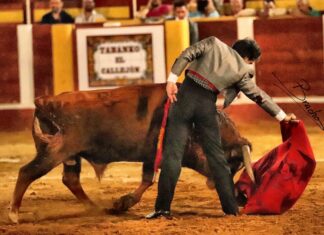 Galería del Festival de Fuengirola (II) por David Bracho