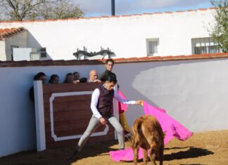 Fortes viaja a México para un festival muy especial