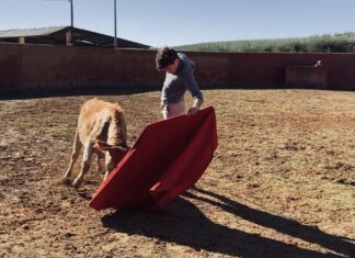 Javier Orozco vuelve a tentar a Los Palacios