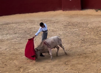 Zurita de Antequera torea hoy un tentadero público en la finca de Morante
