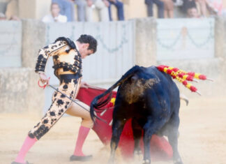 Moli de Ronda el 27 de noviembre en Niebla y por televisión