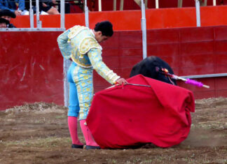 Los astados de Huichapan condicionan la primera encerrona de Ángel Gabriel