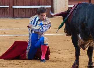 Curro Márquez ya tiene fecha para su arranque de temporada