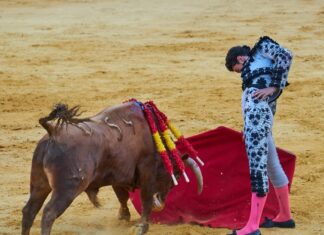 El Moli de Ronda estará en la nueva ‘Oportunidad’ de la plaza de Vistalegre