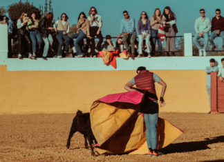 Capea Málaga acerca la tauromaquia a los jóvenes