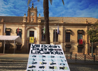 El Moli de Ronda es seleccionado en el VIII Bolsín Taurino de La Carlota