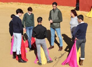 Una mañana de campo con la Escuela de Antequera (galería de David Bracho)