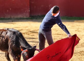Dos alumnos de la Escuela de Antequera participan hoy en el Bolsín de Ciudad Rodrigo