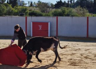 Puesta a punto de Curro Márquez para la temporada 2023