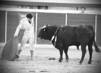 Ignacio Candelas corta dos orejas en Castellar (Jaén)