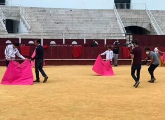 Actividad cultural para toda la familia en La Malagueta en torno a la figura de Picasso