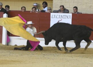 Dos orejas para David Galán en el Festival de Los Barrios