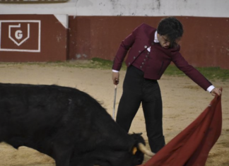 Ignacio Candelas inicia su recurrido por el Certamen ‘Promesas de nuestra tierra’ de CMM