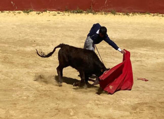 Lavado: «Me siento y siempre me sentiré en deuda con la afición de Málaga por su apoyo»