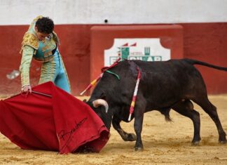 El triunfo de El Moli en el Bolsín de La Carlota, en imágenes (Galería de David Bracho)