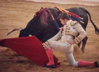 Curro Márquez, listo para hacer mañana el paseíllo en Talamanca de Jarama