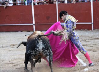 Curro Márquez es atendido de un golpe en su brazo derecho en Talamanca de Jarama