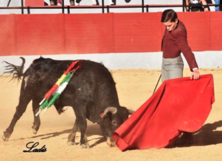 Las escuelas de Málaga y Antequera en las Becerradas andaluzas con reses de El Rodeo