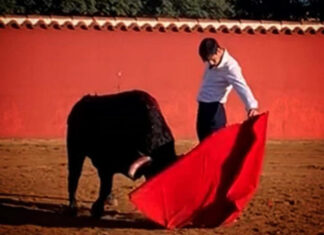 Fortes se prepara en la ganadería de El Pilar para su encerrona de Antequera