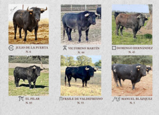 Estos son los toros reseñados para la encerrona de Fortes en Antequera (Galería)