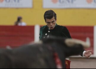 Buen sabor de boca para despedirse del Encuentro Mundial de Aguascalientes