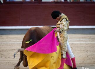 Santana Claros sustituirá a Cayetano para tener una alternativa de lujo