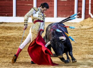 Santana Claros, a México para completar su etapa novilleril «con el objetivo de tomar la alternativa en Málaga»