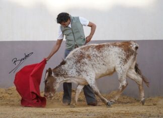 Curro Díaz tienta en la ganadería de Manuel Blázquez (Galería de David Bracho)