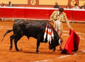 Dos orejas y gran nivel de Santana Claros en Huamantla (México)