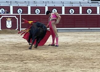 A Antonio Fernández de le atasca el descabello en Albacete