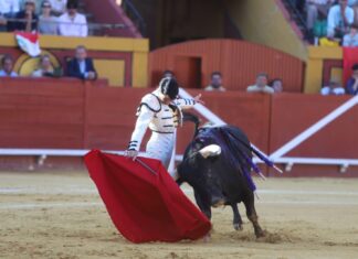Una podrida corrida para echar por tierra las ilusiones de Vega, y de cualquiera…