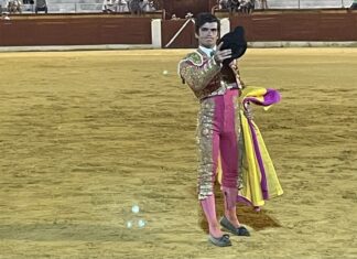 Garbanzo negro para Antonio Fernández en Écija