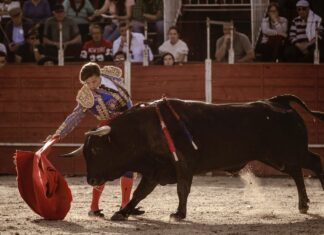 Curro Márquez llegará más rodado a La Malagueta