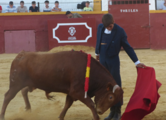 Málaga estará representada en la final del XXV Ciclo de Becerradas de Andalucía