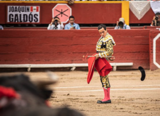 Joaquín Galdós sigue tirando de la tauromaquia peruana