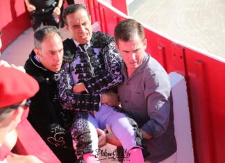 Terrible cornada al banderillero rondeño Cándido Ruiz en Azpeitia