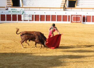 Antonio Fernández será el representante de la Escuela de Málaga en la Final del Certamen Interprovincial