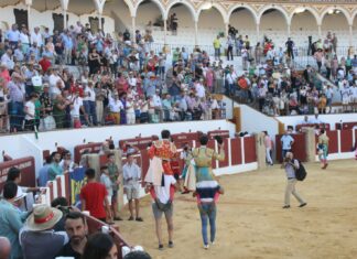 Seria y exigente novillada de Martín Lorca para poner a prueba a los alumnos en Antequera