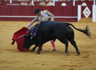Jorge Molina y Fuentes Bocanegra piden paso en la novillada inaugural