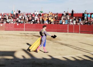 Vuelta al ruedo y ovación para Curro Márquez en Cebreros