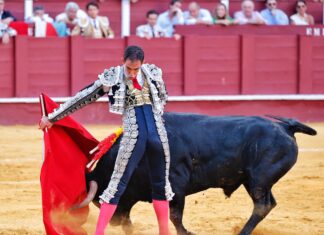 Fortes es galardonado con su tercer Estoque de Plata de la Diputación