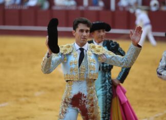 Una Biznaga Taurina para el novillero Jorge Molina